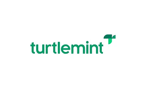 Turtlemint Fintech Solutions IPO