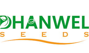 Dhanwel Hybrid Seeds IPO